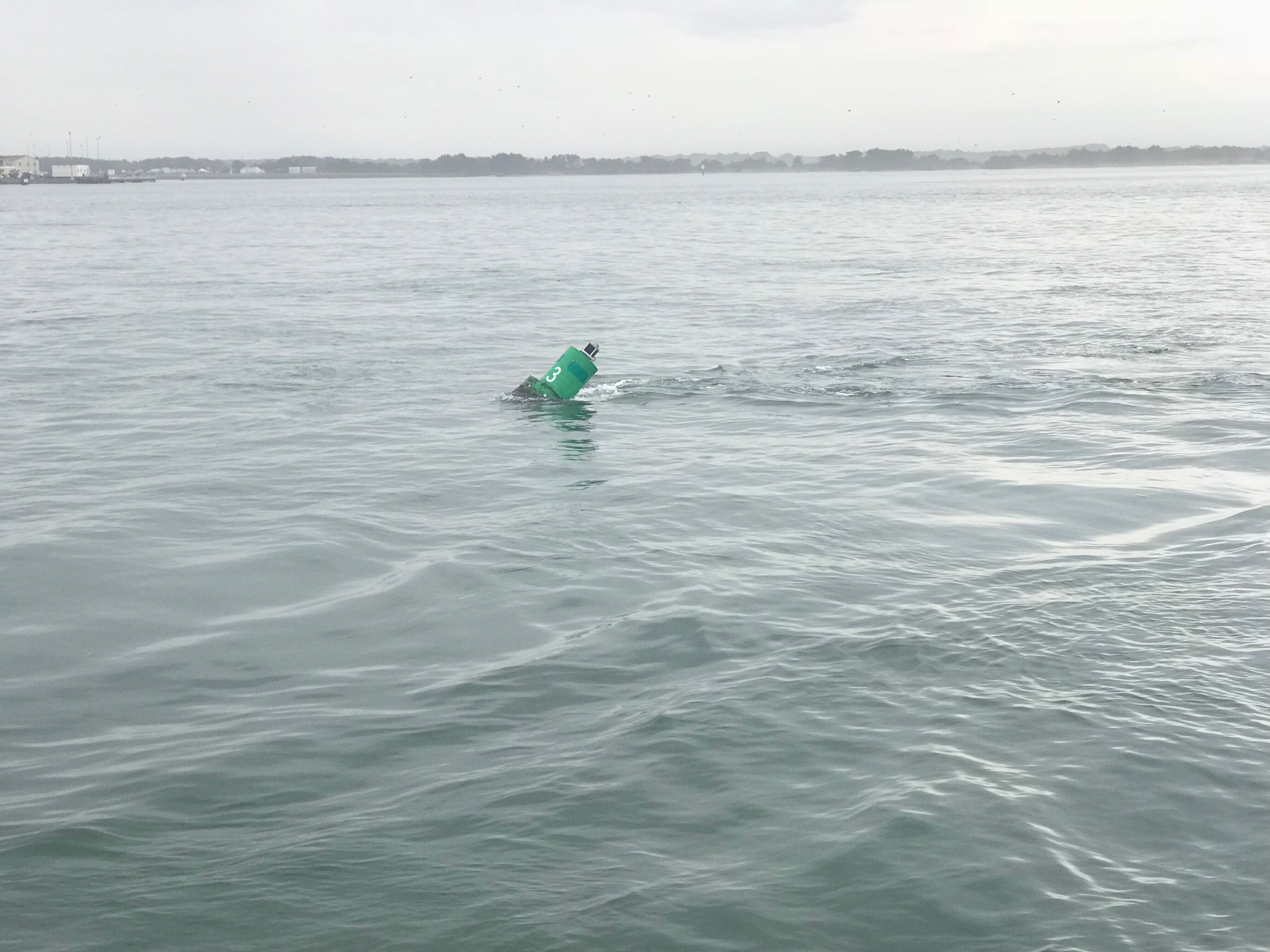 Green can pulled under by strong current