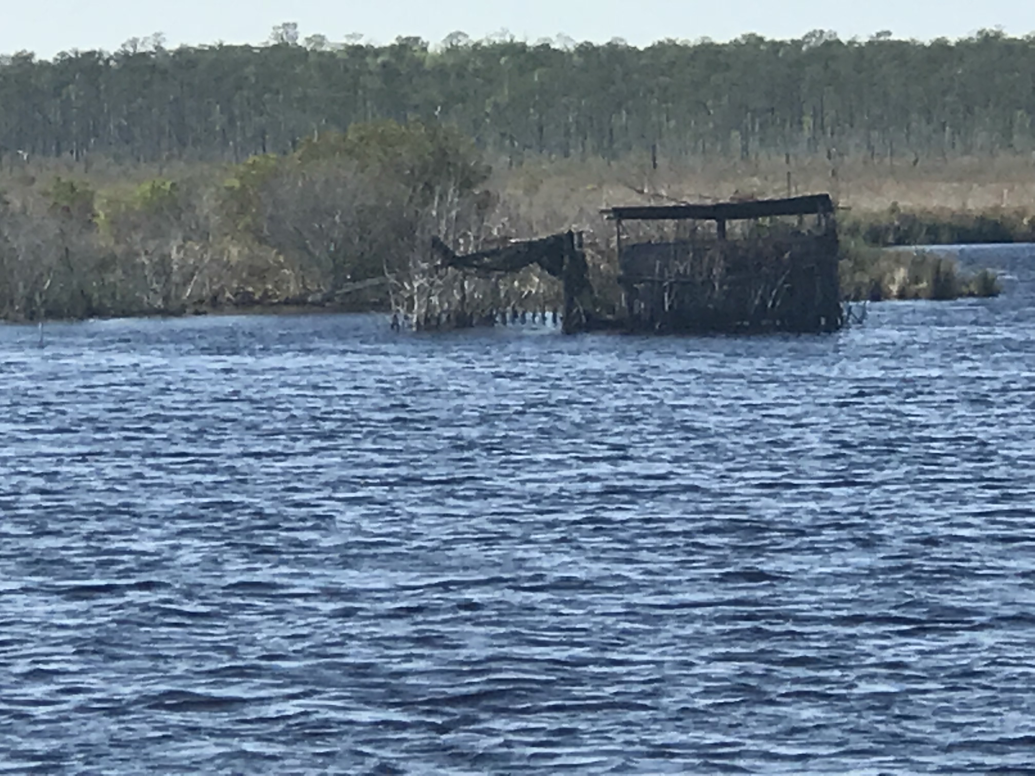 Duck Blind