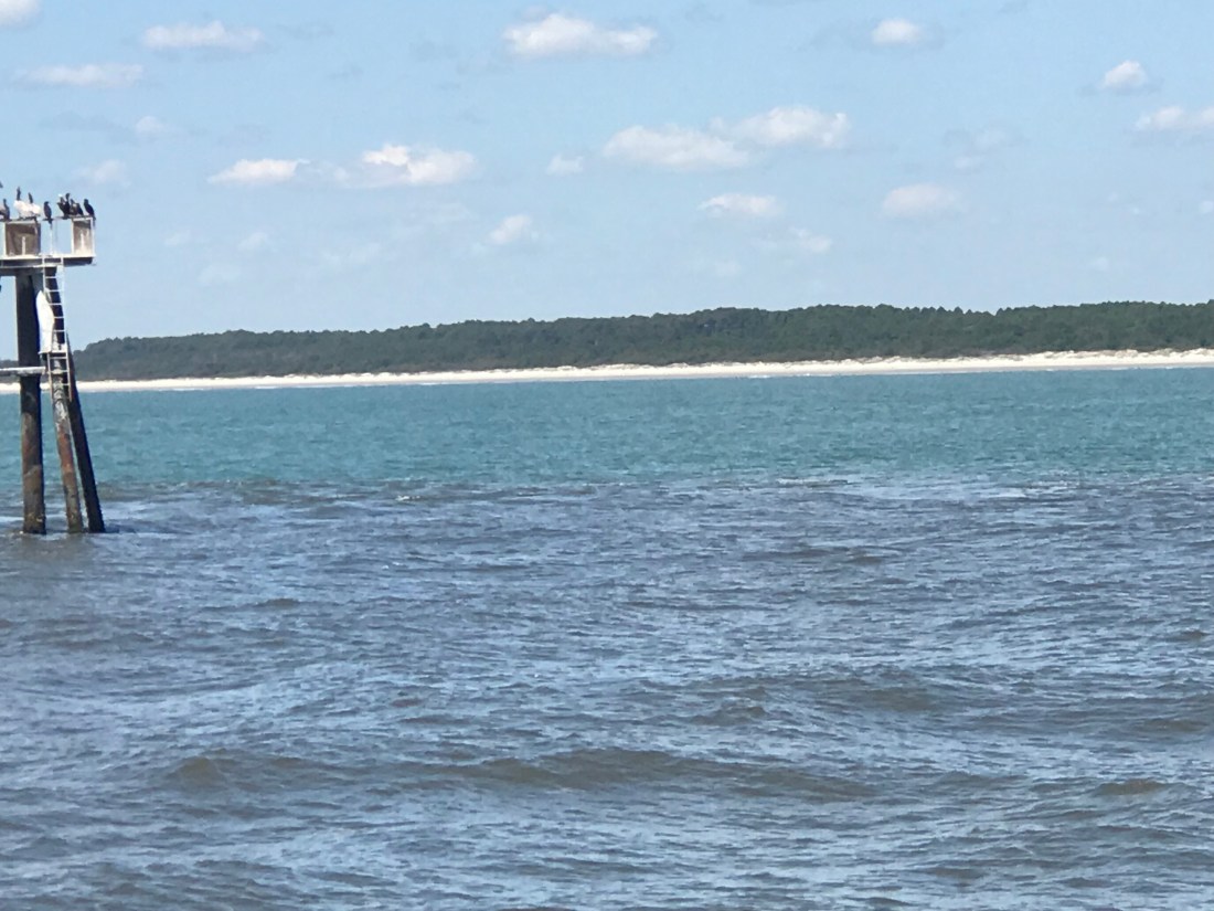 Little River Sediment